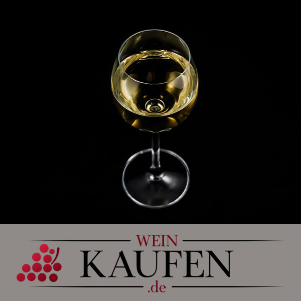 Wein kaufen in Regensburg