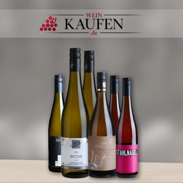 Rotweinpakete und Weißweinpakete in Berne bestellen
