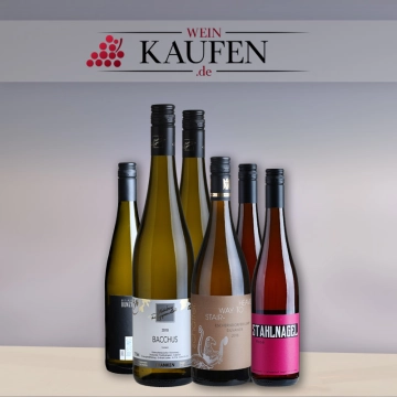 Rotweinpakete und Weißweinpakete in Neuburg an der Kammel bestellen