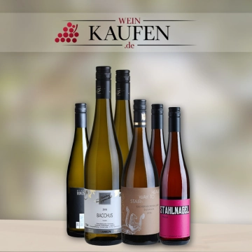 Rotweinpakete und Weißweinpakete in Neustadt in Sachsen bestellen