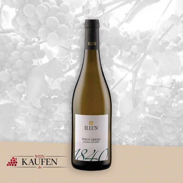 Wein Kronshagen - Guten italienischen Weißwein kaufen
