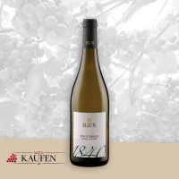 Wein Holm (Kreis Pinneberg) - Guten italienischen Weißwein kaufen