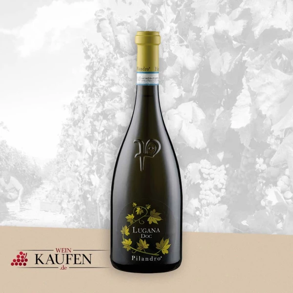 Wein Trappenkamp - Guten italienischen Weißwein kaufen