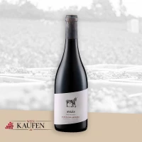 Wein Regis-Breitingen - Spanischen Rotwein kaufen
