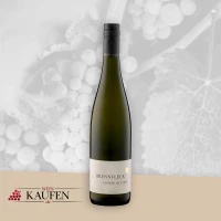 Wein Paderborn - Guten deutschen Weißwein online kaufen