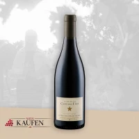 Wein Bad Sooden-Allendorf - Guten italienischen Weißwein kaufen