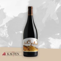 Wein Lautertal (Odenwald) - Guten italienischen Weißwein kaufen